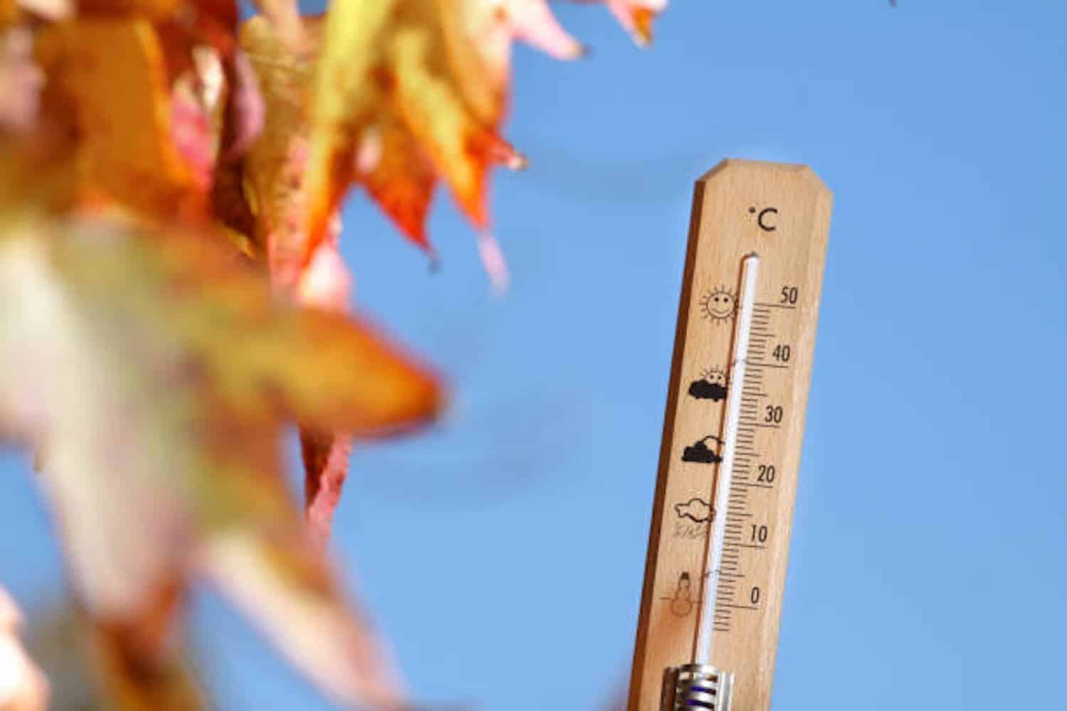 Last weekend of autumn to bring chilly weather to Gauteng