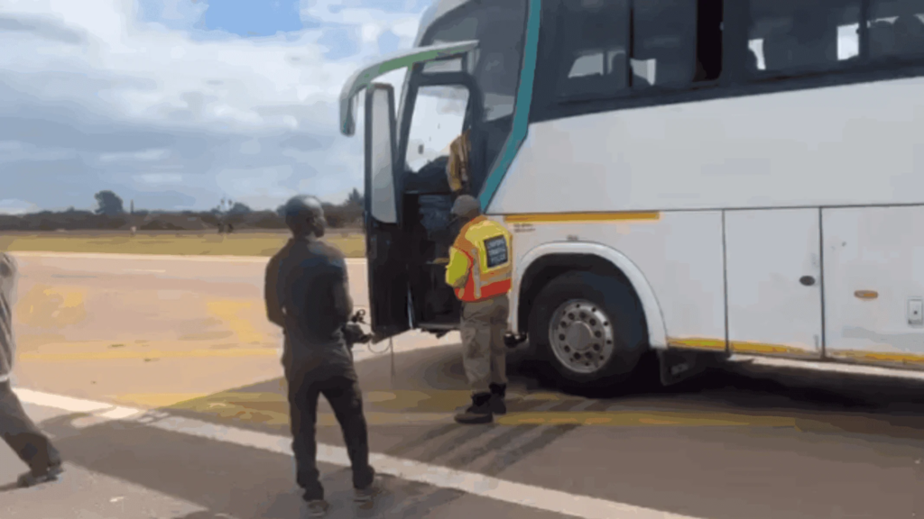 Calls for greater consequences for dodgy buses transporting illegal immigrants [VIDEO]