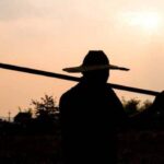 SA must nurture small-scale farmers