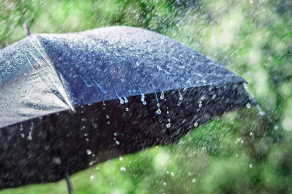 WEATHER: Morning fog patches and RAIN expected in SA