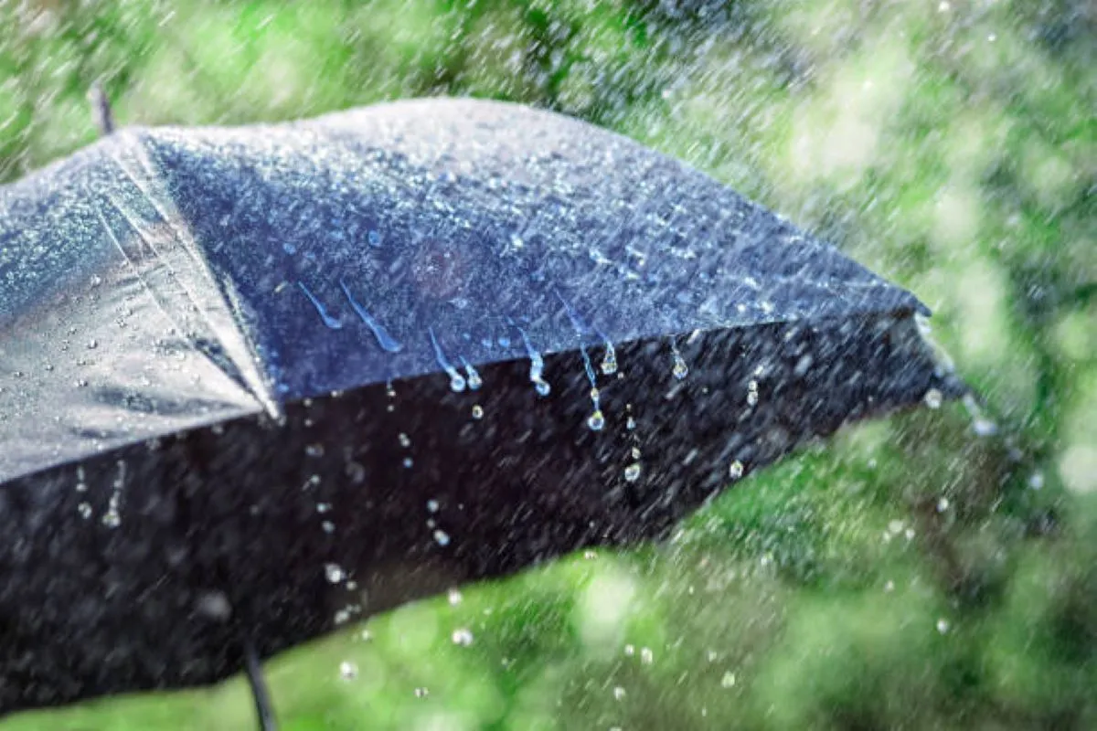 WEATHER: Morning fog patches and RAIN expected in SA