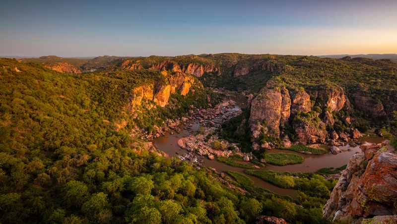 Big birds, ‘bush eyes’, Jelly Tots and politics: How Kruger Park shaped my life