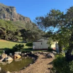 Forgotten Muizenberg wetland almost fully restored to former glory
