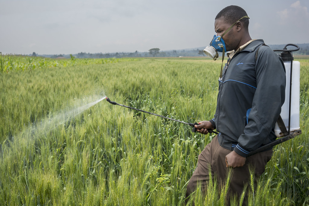 Agriculture minister bans toxic pesticide tied to Soweto child deaths – The Mail & Guardian