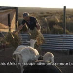 Carte Blanche coming up: Uncooperative cooperative