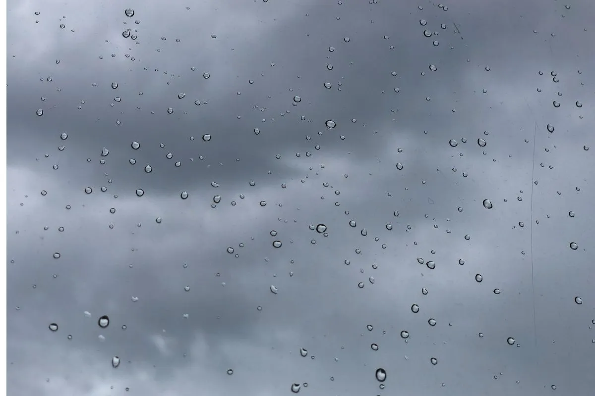 WEATHER: Cold conditions with isolated coastal showers expected