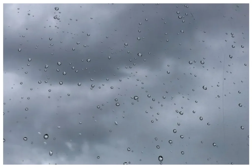 WEATHER: Partly cloudy with isolated showers expected