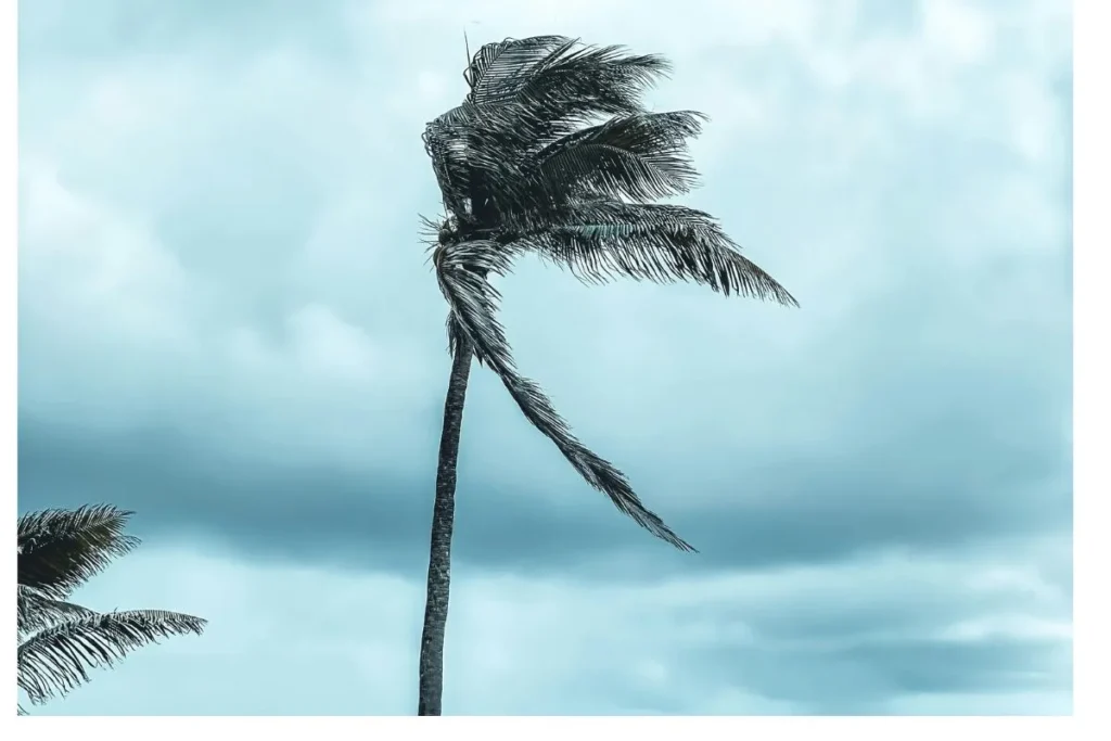 WEATHER: Light coastal winds with isolated showers expected
