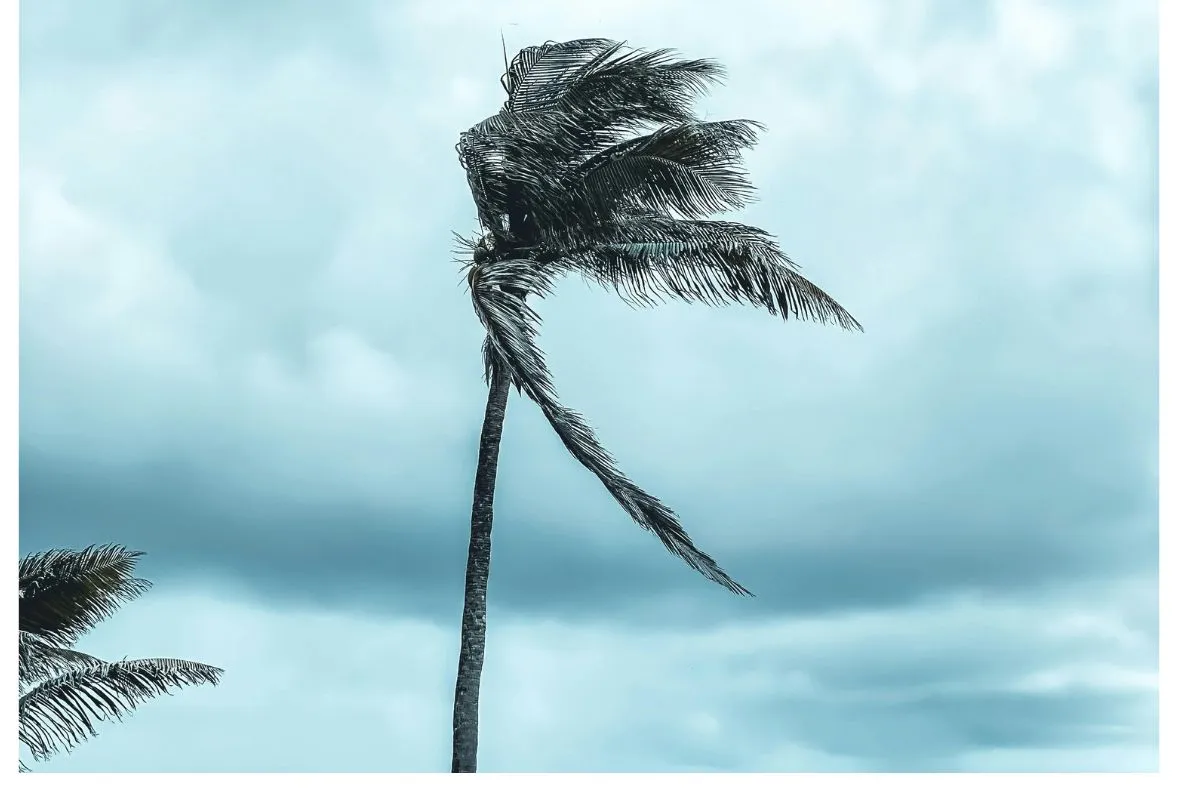 WEATHER: Light coastal winds with isolated showers expected