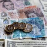 Foxes, sharks and puffins in line to replace historic figures on UK banknotes