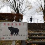 Japanese city suspends 94 schools after first-ever bear sighting