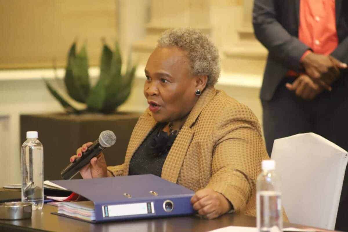 ANCWL places Tolashe on leave of absence amid ANC disciplinary processes
