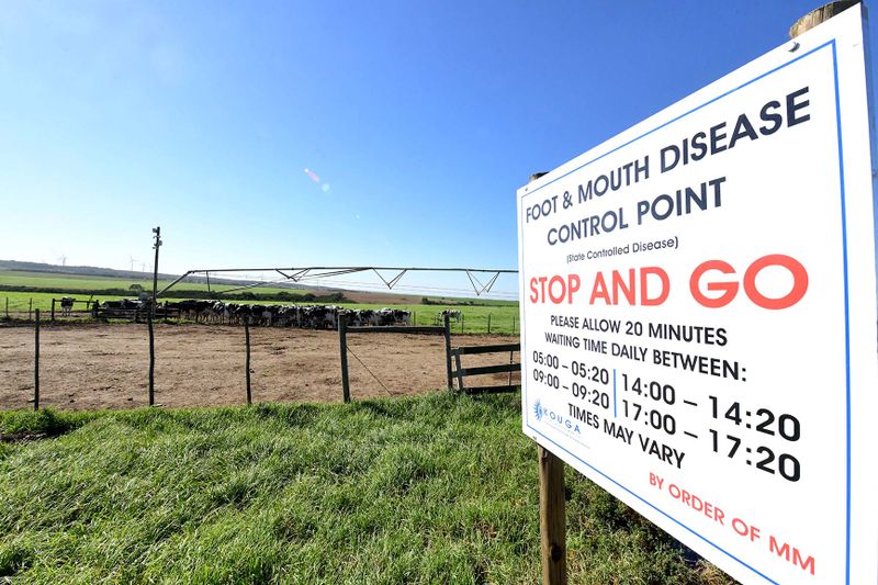 FMD: Steenhuisen aide’s ‘amused’ comment sparks backlash