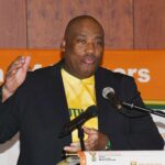 Questions raised over Gayton McKenzie’s World Cup influencer squad as Mama Joy’s name resurfaces