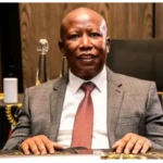 Malema seeks six-month jail term for Ngizwe Mchunu