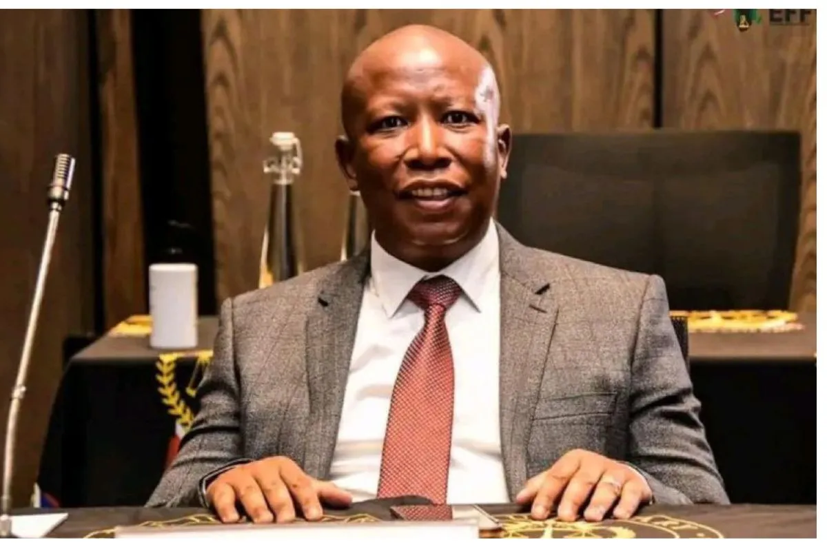 Malema seeks six-month jail term for Ngizwe Mchunu