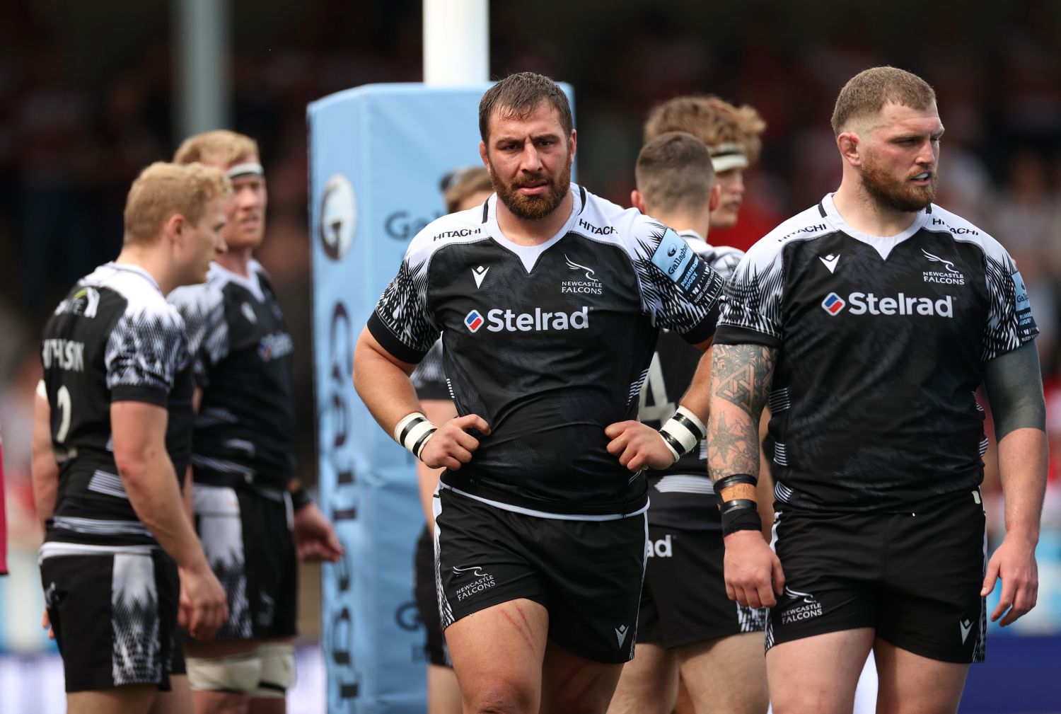 Former Stormers target joins Irish club