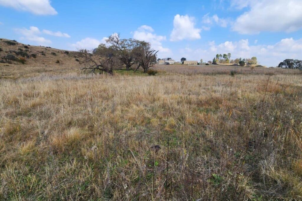 SA’s towns are running out of luck