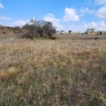 SA’s towns are running out of luck