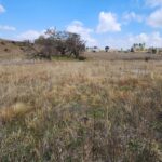 Nketoana’s Geluk Dam was never built despite municipality claiming it was 50% complete in 2024