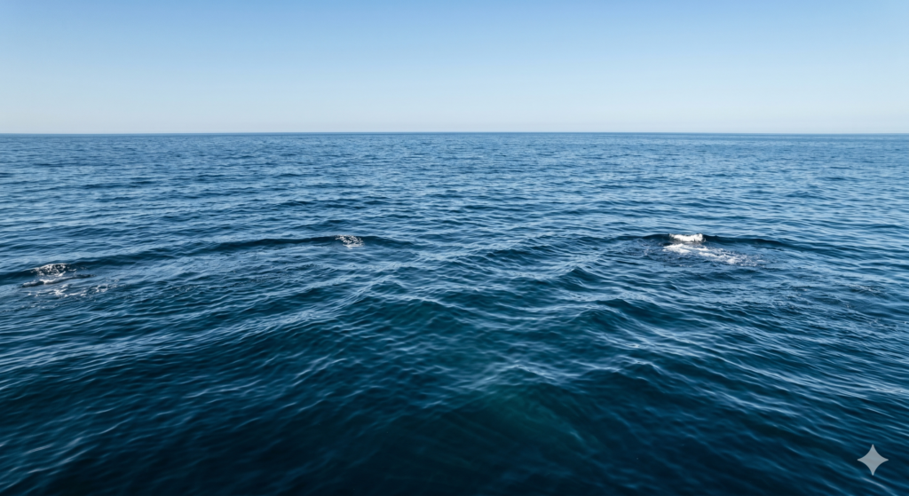 Marine carbon dioxide removal: Our next ocean science, policy and governance frontier? – The Mail & Guardian