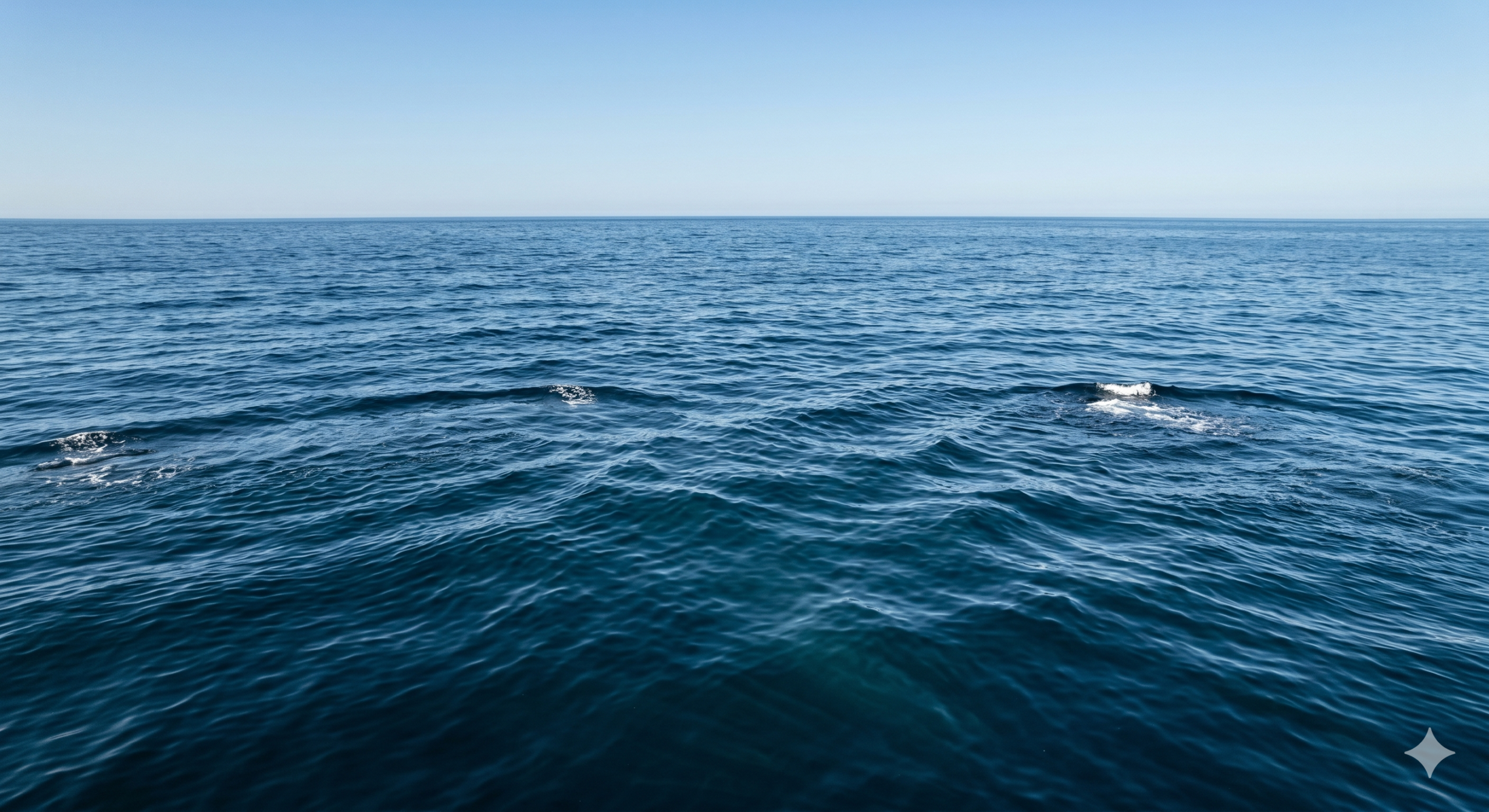 Marine carbon dioxide removal: Our next ocean science, policy and governance frontier? – The Mail & Guardian
