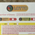 The Lotto and Lotto Plus 1 and Lotto 5 Max results for Saturday, 6 June 2026