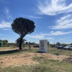 Outside the white cube, art learns to breathe again – The Mail & Guardian