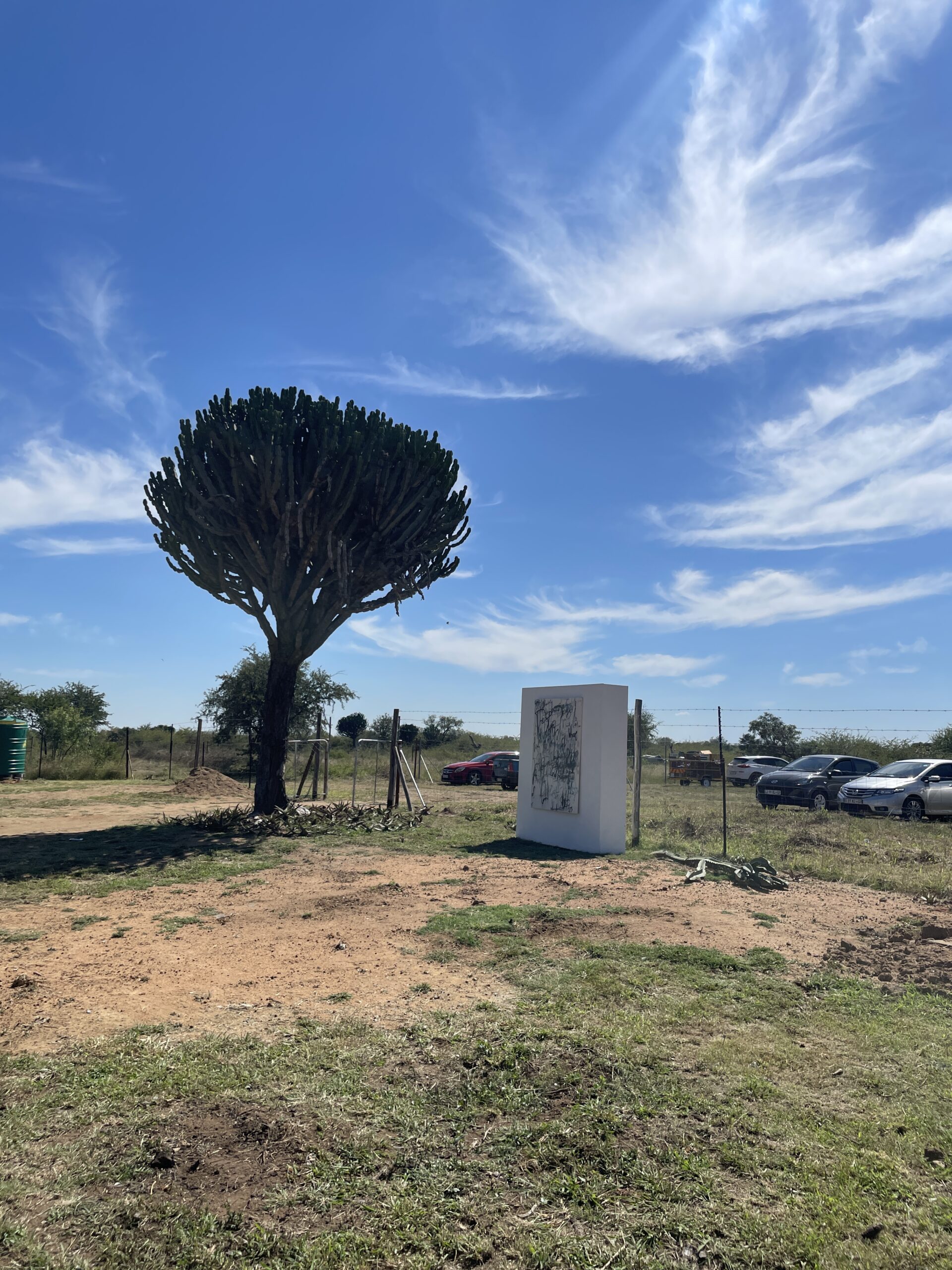 Outside the white cube, art learns to breathe again – The Mail & Guardian