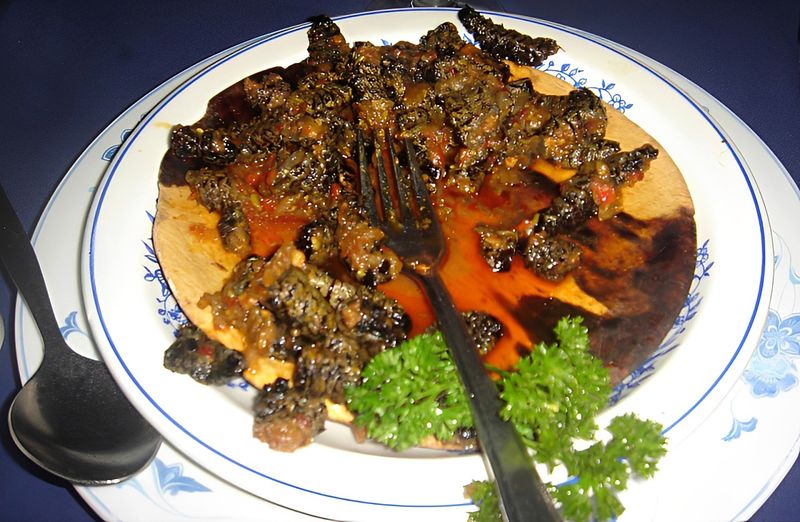 Hidden economies of the wild: From worms to frankincense