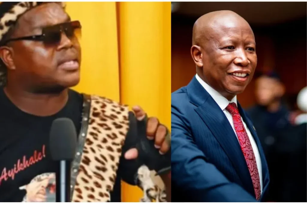 Mchunu apologises to court and Malema after contempt ruling