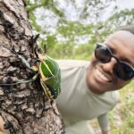 Dozens of new species found in one of Africa’s last biodiversity blank spots