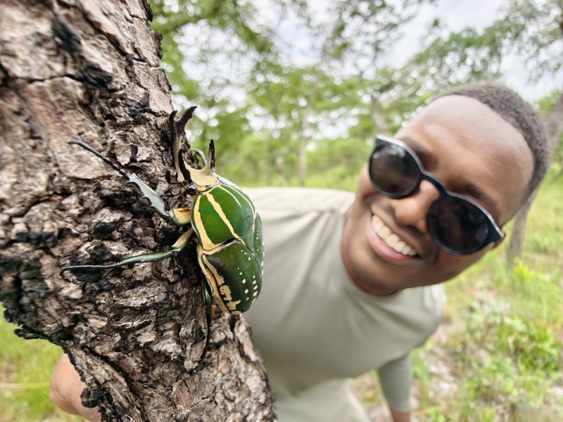 Dozens of new species found in one of Africa’s last biodiversity blank spots
