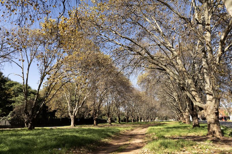 Joburg doctors use own money to make Mayfair’s roads safer