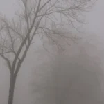 WEATHER: Fog patches expected in the morning and evening