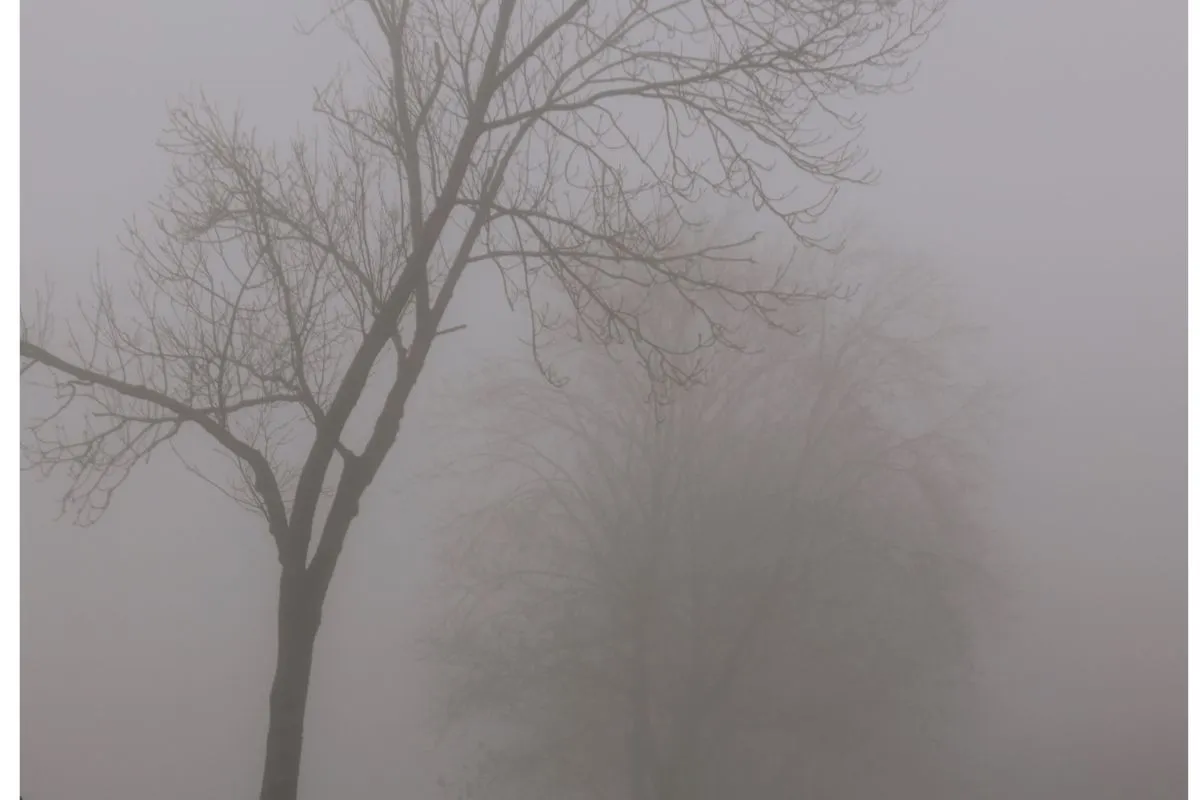 WEATHER: Fog patches expected in the morning and evening