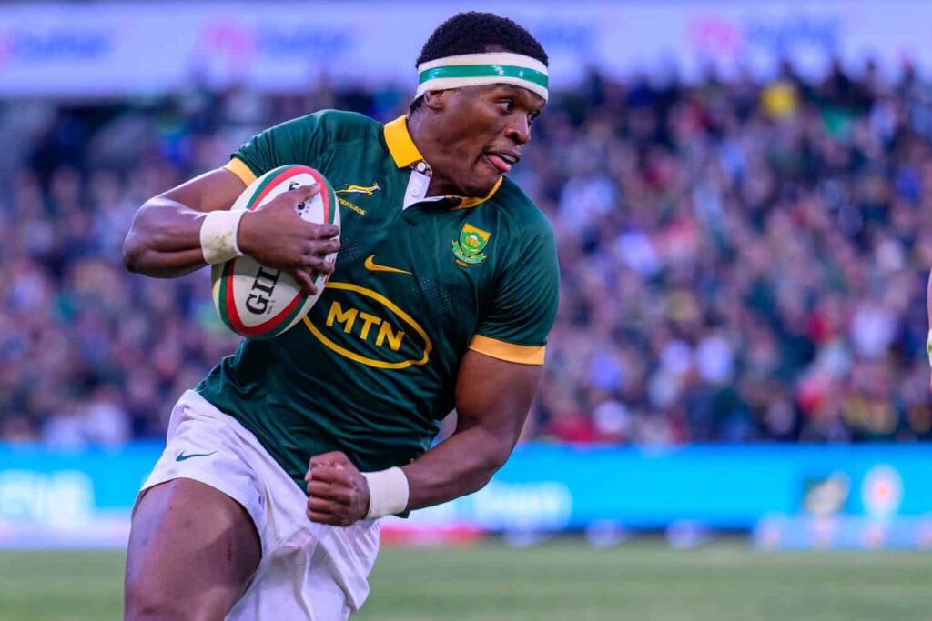 Springbok squad boosted by new arrivals this week