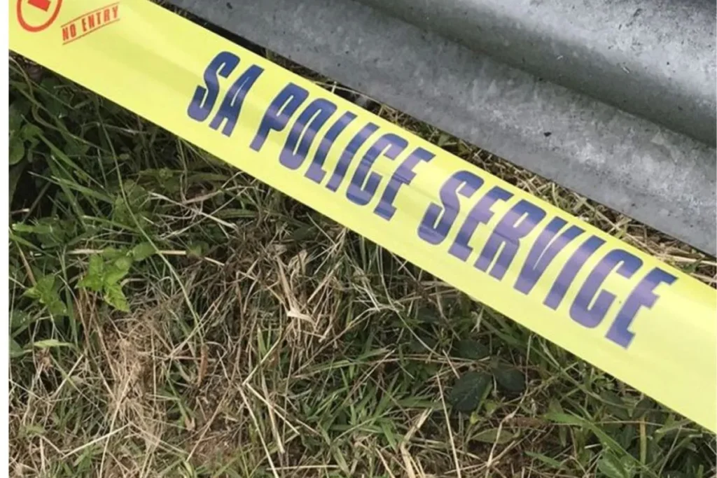 Two suspects killed, one wounded in police shootout in KZN