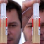 SA’s antivenom crisis deepens as stock-outs are confirmed
