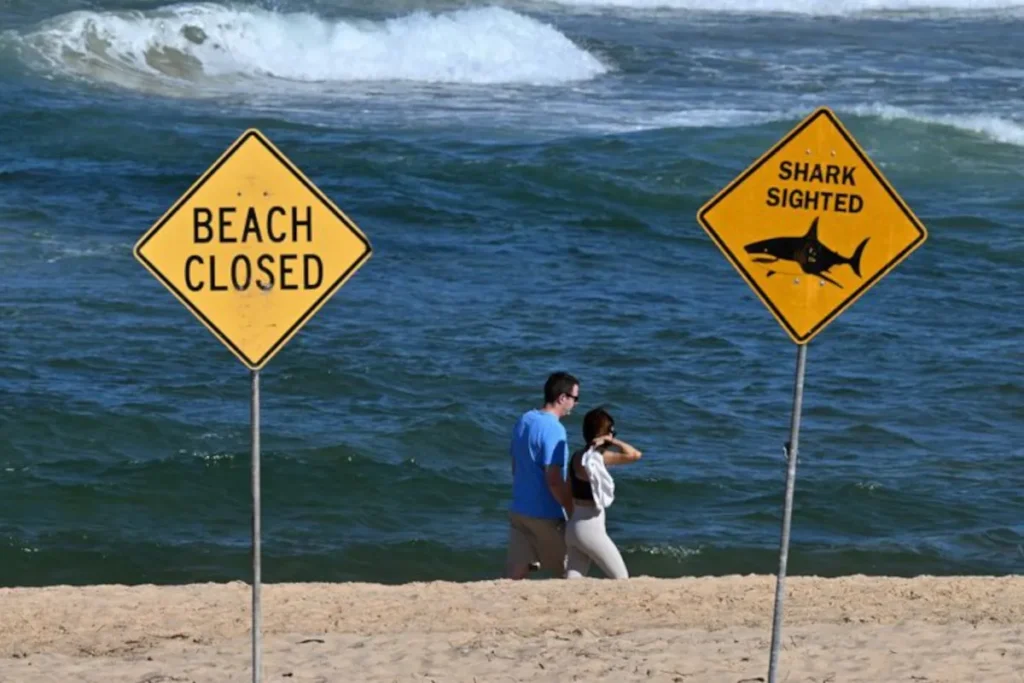 Shark kills diver off Western Australia coast