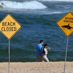 Shark kills diver off Western Australia coast