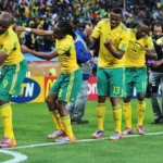 ‘Just for vibes’: Saffas joke about FIFA World Cup expectations