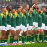 Springboks: Referees named for July Tests