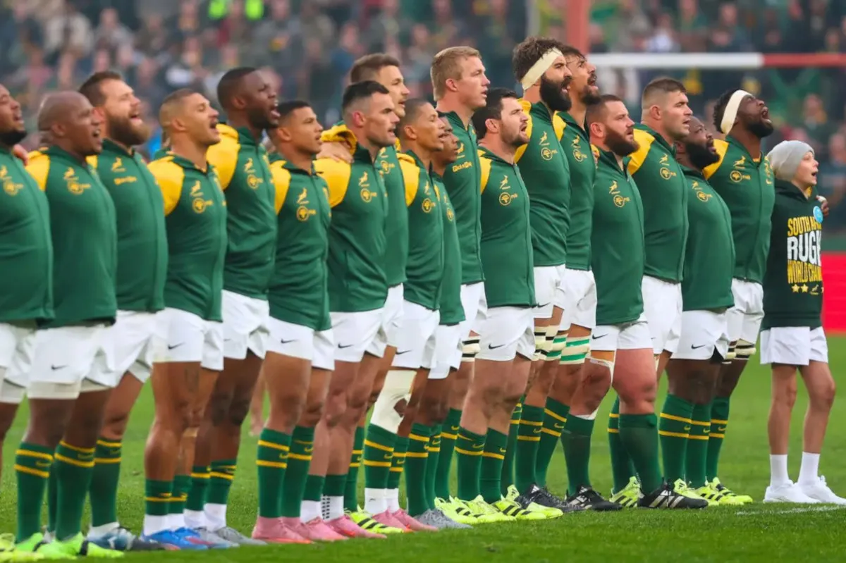 Springboks: Referees named for July Tests