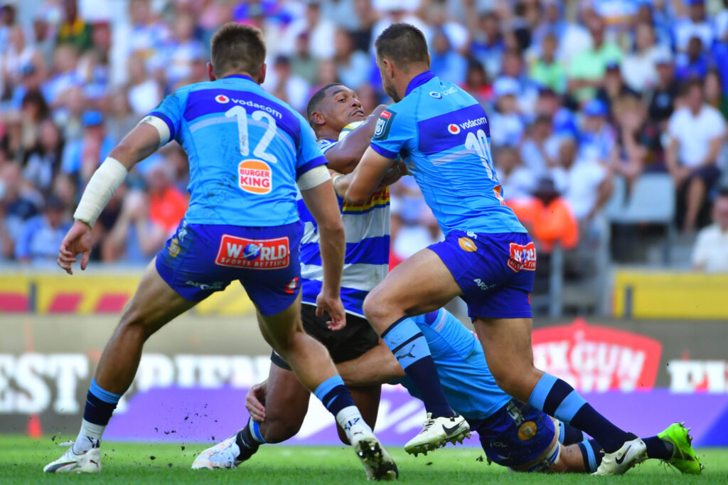 Dream SA final would be Rassie’s nightmare