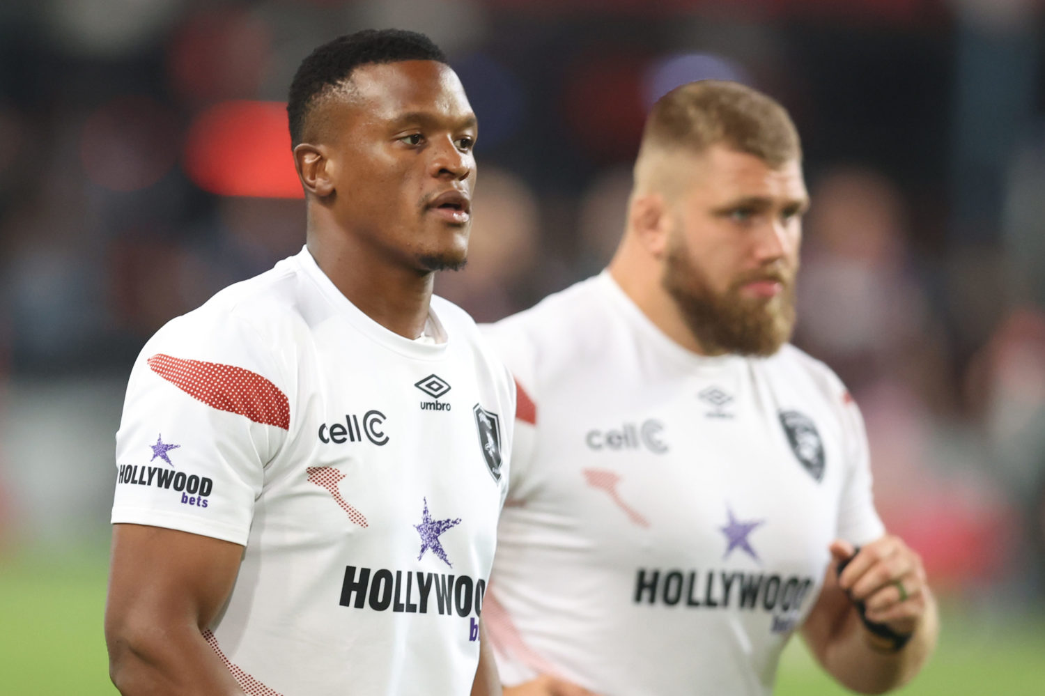 Sharks workhorse, Euro champ get Bok call-up