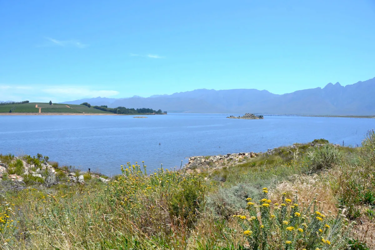 Western Cape dams continue steady recovery: LATEST figures