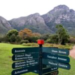 Kirstenbosch is going to seed, warn experts
