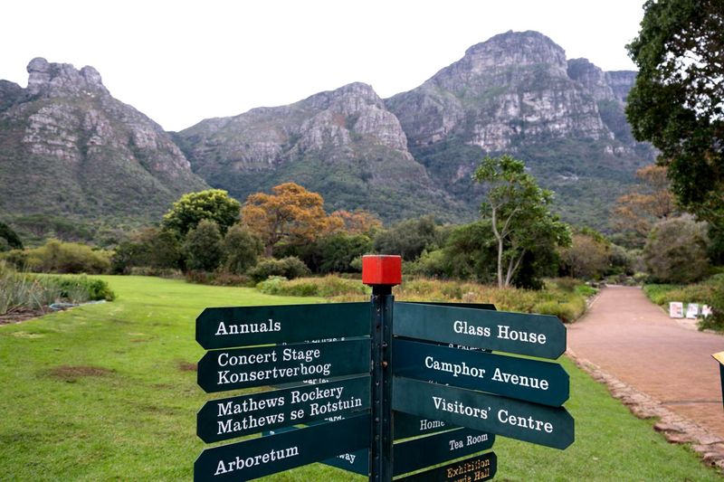 Kirstenbosch is going to seed, warn experts