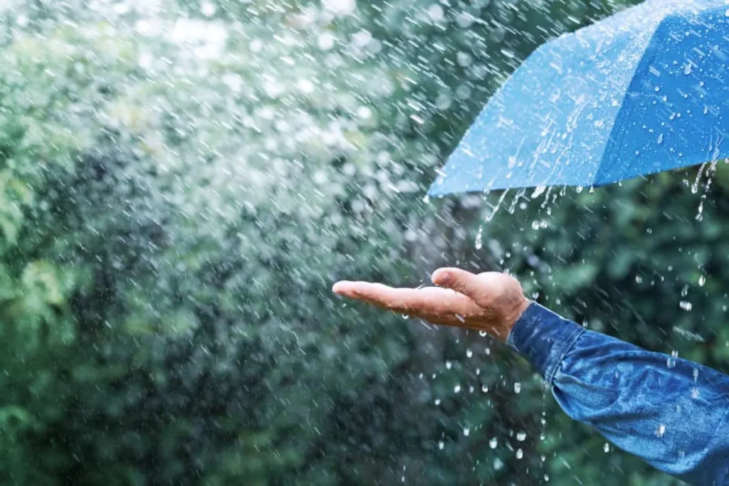 WEATHER: Rain expected to hit FOUR provinces